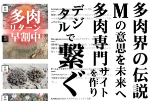 多肉界の伝説「M」の意思を継ぐ者の挑戦！多肉専門サイトを立ち上げ未来へ繋ぐ。