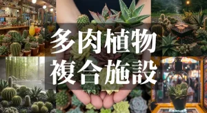 園芸界激震！植物園の常識を覆す複合施設をつくる！〜"M"の意志を継ぐ者たち〜