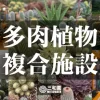 【園芸界激震】三和園（みつわえん）プロジェクト！多肉植物園の常識を覆す複合施設をつくる！〜"M"の意志を継ぐ者たち〜