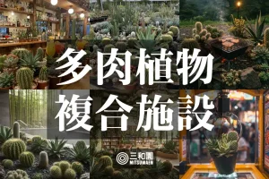 【園芸界激震】三和園（みつわえん）プロジェクト！多肉植物園の常識を覆す複合施設をつくる！〜"M"の意志を継ぐ者たち〜